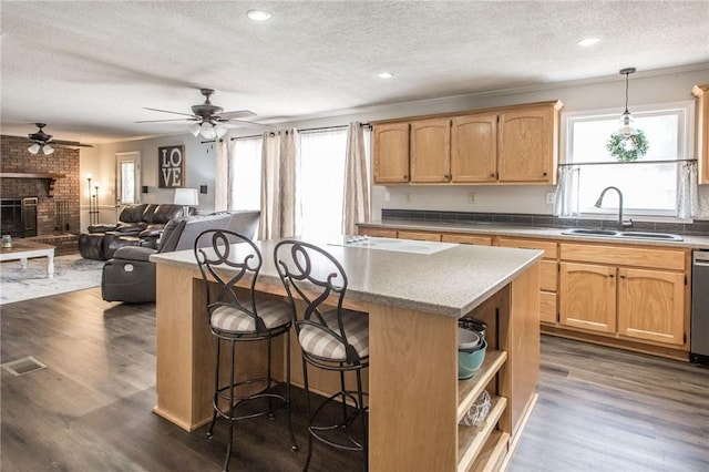 265 Traders Hill Rd, Folkston, GA 31537 - kitchen featuring a sink, a textured ceiling, a ceiling fan, and plenty of natural light