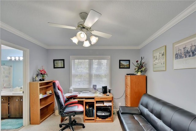 116 Ashwood Way, Saint Simons Island, GA 31522 - photo 14