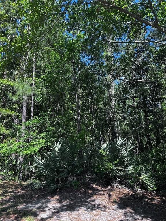 00 Secret Cv, Woodbine, GA 31569