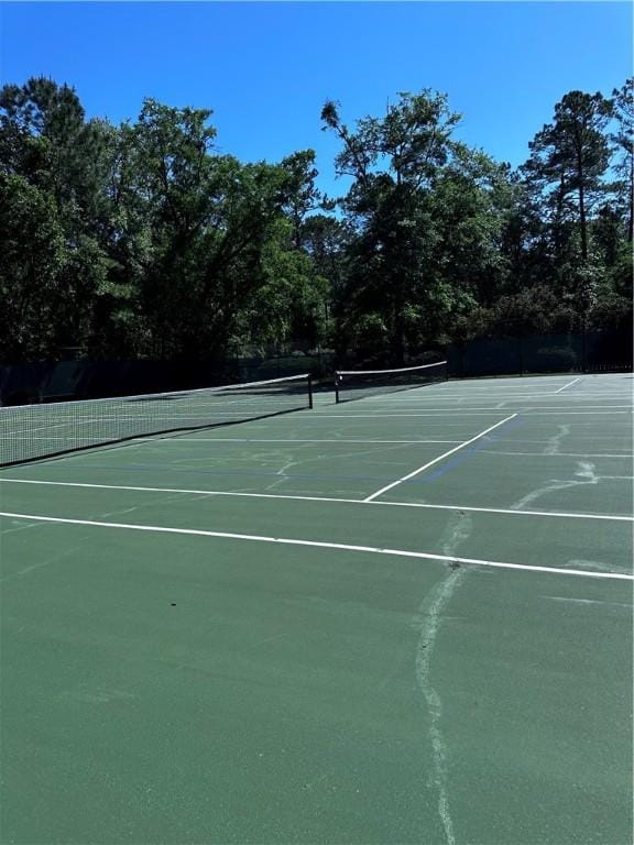 00 Secret Cv, Woodbine, GA 31569