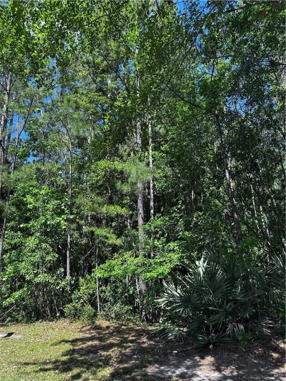 00 Secret Cv, Woodbine, GA 31569