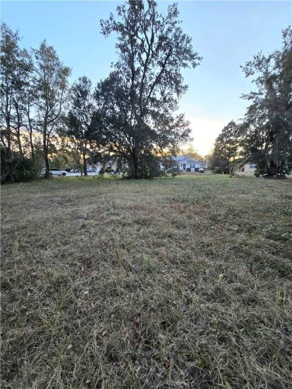 117 Drew Cir, Brunswick GA, 31525 land for sale