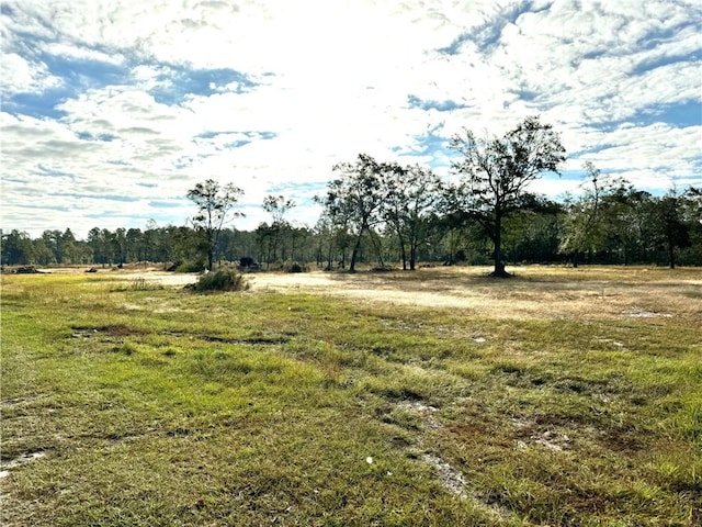 00 Deergrass Ave, Waycross GA, 31503 land for sale