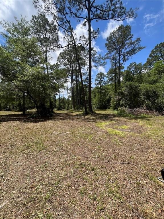 5554 Ga Highway 99, Townsend, GA 31331