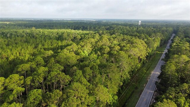 5554 Ga Highway 99, Townsend, GA 31331