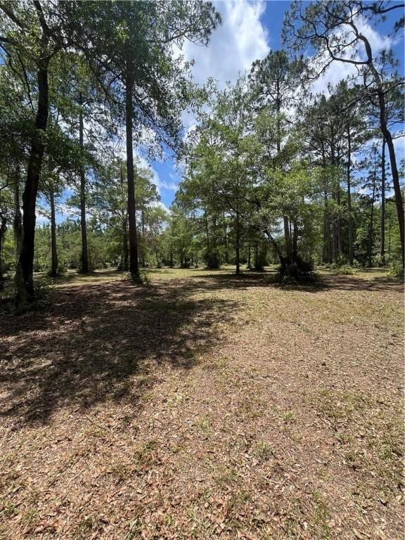 5554 Ga Highway 99, Townsend, GA 31331