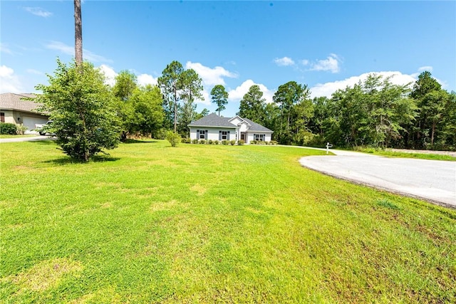 119 Silver Bluff Dr, Brunswick, GA 31523 - view of green lawn