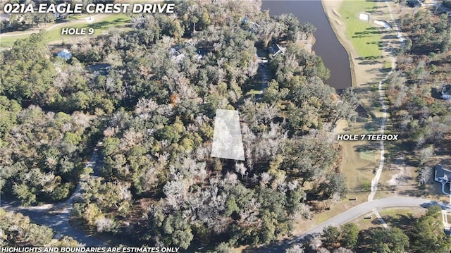 LOT21A Eagle Crest Dr, Waverly, GA 31565 - photo 1