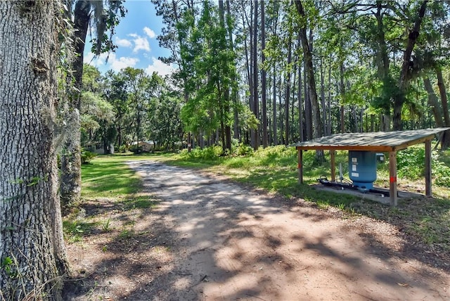 1069 Shellman Hammock Dr NE, Townsend, GA 31331 - view of surrounding community