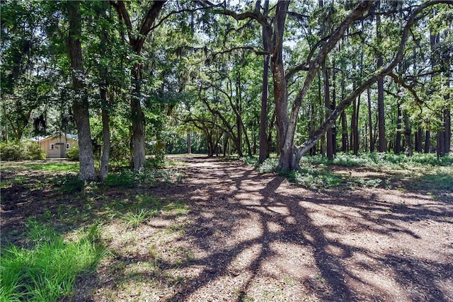 1069 Shellman Hammock Dr NE, Townsend, GA 31331 - view of road with a wooded view