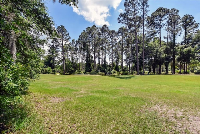 1069 Shellman Hammock Dr NE, Townsend, GA 31331 - view of grassy yard