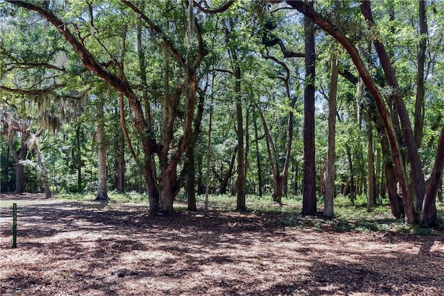 1069 Shellman Hammock Dr NE, Townsend, GA 31331 - view of tree filled area