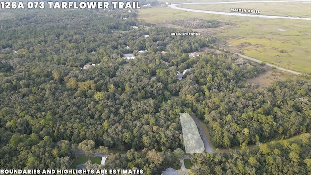 Listing photo 3 for LOT73 Tar Flower Trl, Waverly GA 31565