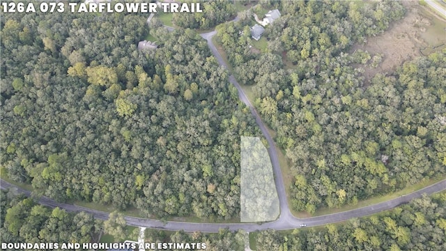 LOT73 Tar Flower Trl, Waverly GA, 31565 land for sale