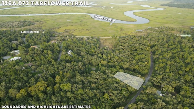 Listing photo 2 for LOT73 Tar Flower Trl, Waverly GA 31565