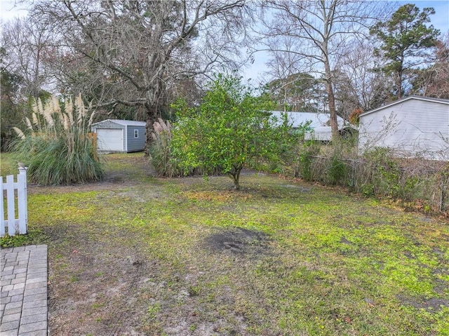 view of yard with a storage unit