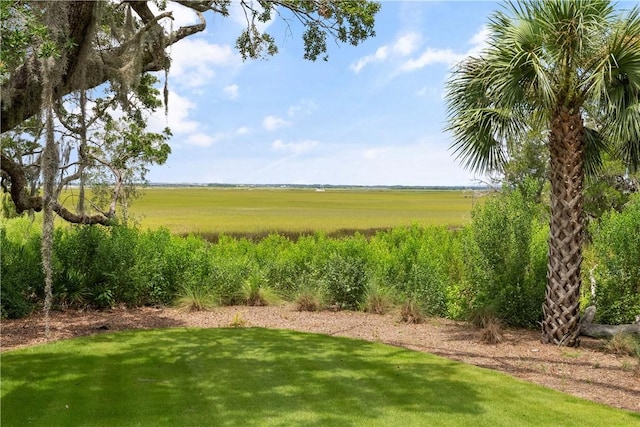 view of yard featuring a rural view