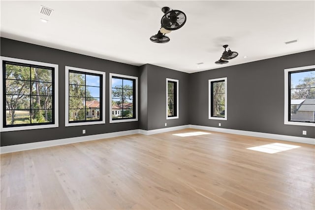 spare room featuring light wood-type flooring and a wealth of natural light