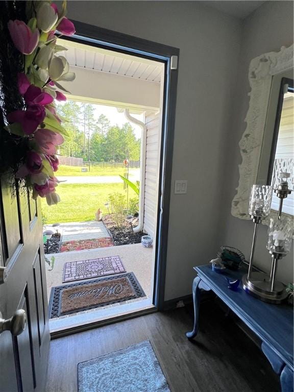 10003 Woodland Cv, Brunswick, GA 31525 - doorway to outside with wood finished floors