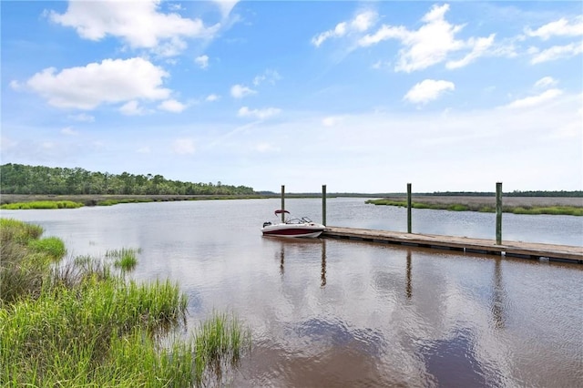162 Sanderling Trce, Waverly, GA 31565