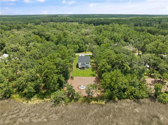 162 Sanderling Trce, Waverly, GA 31565