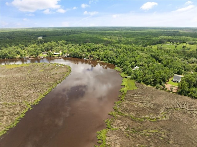 162 Sanderling Trce, Waverly, GA 31565
