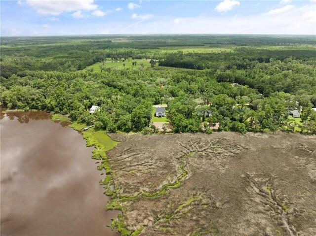 162 Sanderling Trce, Waverly, GA 31565
