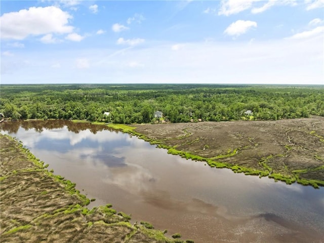 162 Sanderling Trce, Waverly, GA 31565