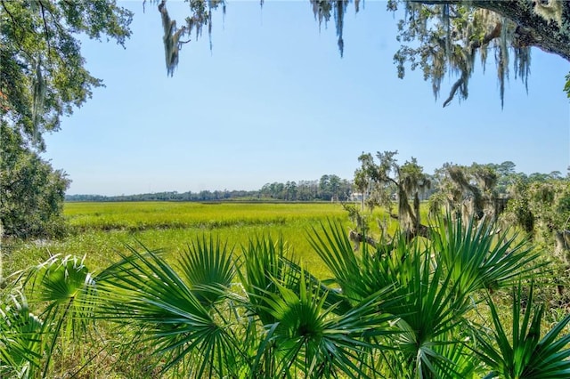 view of nature with a rural view