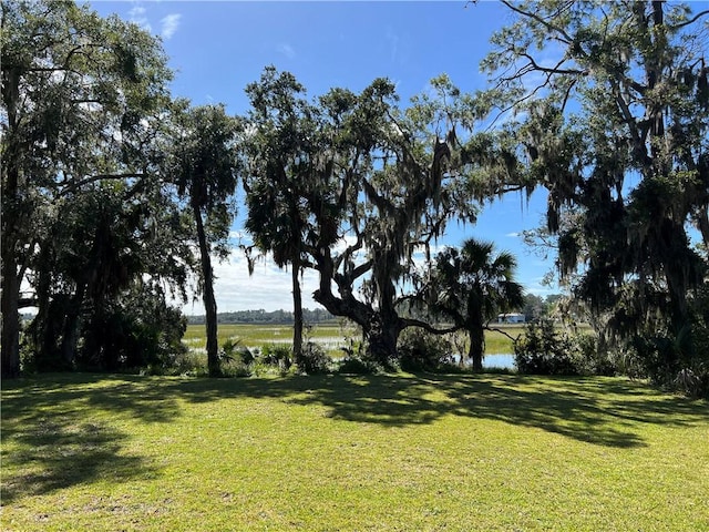 view of yard with a water view