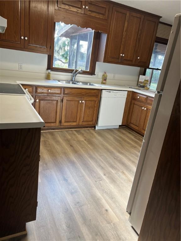 kitchen featuring light wood-type flooring, white appliances, ventilation hood, and sink