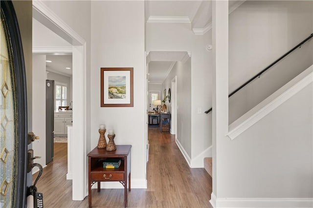 149 Harbor Pointe Dr, Brunswick, GA 31523 - foyer with crown molding, wood finished floors, stairway, and baseboards