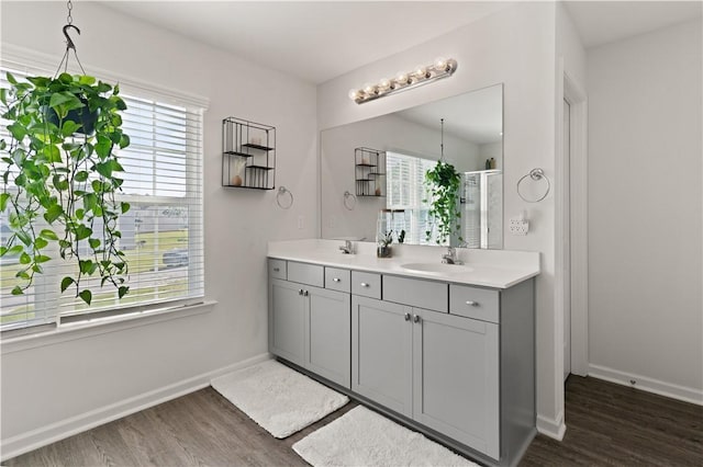 bathroom with a wealth of natural light, vanity, wood-type flooring, and a shower with shower door