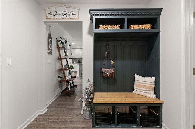 mudroom with hardwood / wood-style flooring