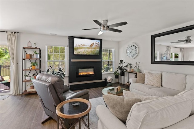 living room featuring ceiling fan, a large fireplace, and hardwood / wood-style flooring