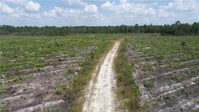 0 County Line Rd, GA, 31313 land for sale