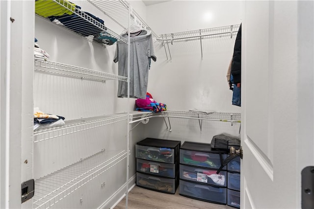 walk in closet featuring hardwood / wood-style flooring