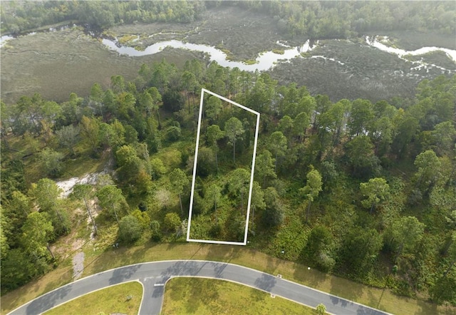 445 Salt Creek Way E, Brunswick GA, 31523 land for sale