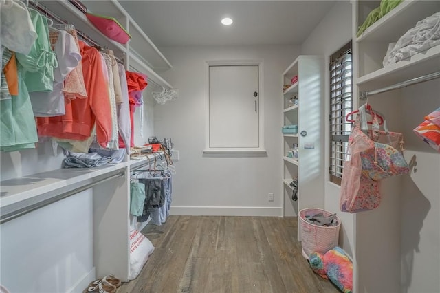 spacious closet featuring hardwood / wood-style flooring