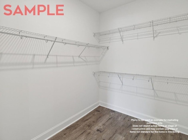 walk in closet featuring wood-type flooring