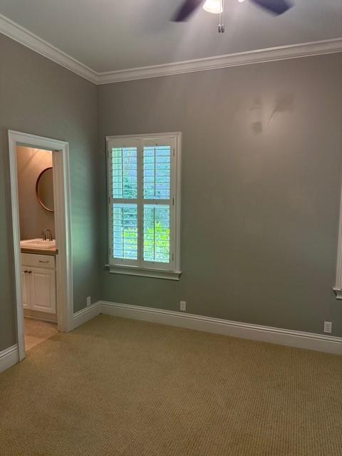 197 Rice Ml, Saint Simons Island, GA 31522 - photo 24