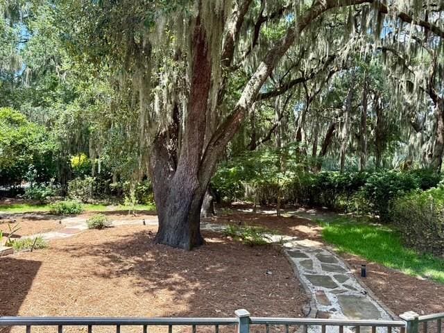 197 Rice Ml, Saint Simons Island, GA 31522 - photo 47