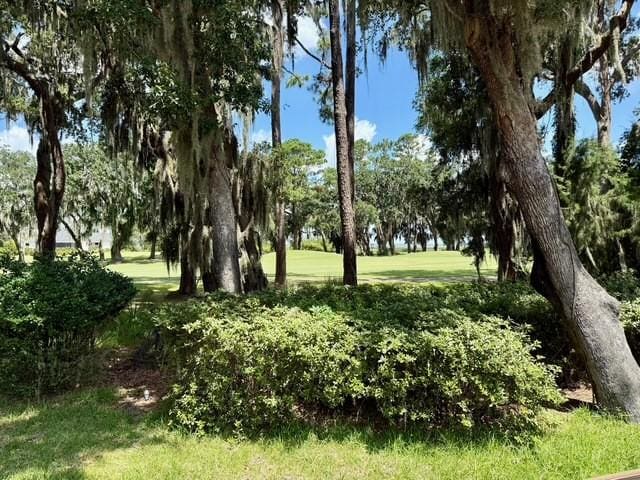 197 Rice Ml, Saint Simons Island, GA 31522 - photo 50
