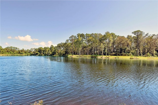 water view with a wooded view