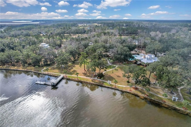 424 Harbour Island Cir, Waverly, GA 31558 - photo 79