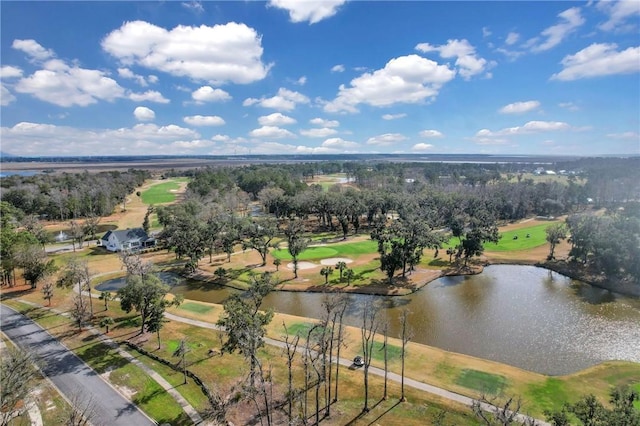 424 Harbour Island Cir, Waverly, GA 31558 - photo 64