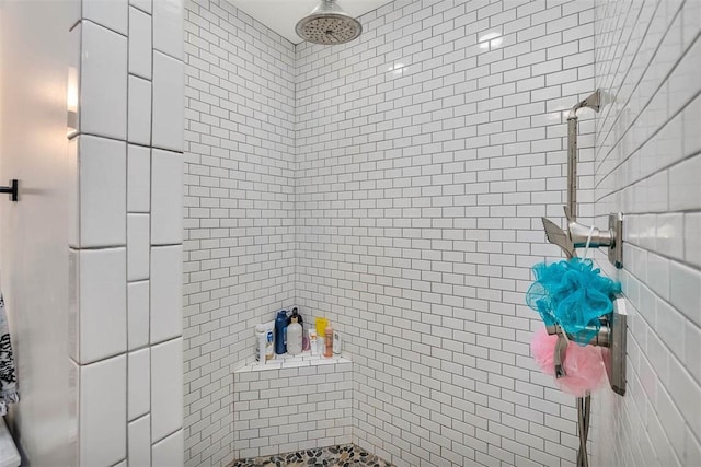205 Palmetto St, Saint Simons Island, GA 31522 - full bath featuring a tile shower
