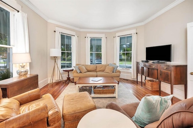 living area featuring wood finished floors, baseboards, and ornamental molding