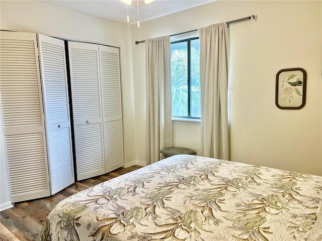 bedroom featuring a closet and dark wood-type flooring