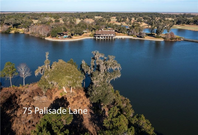 75 Palisade Ln, Saint Simons Island, GA 31522
